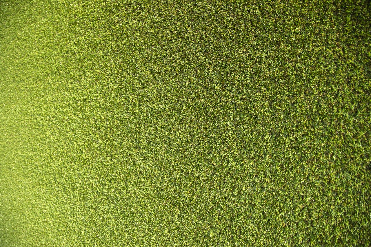 דשא סינטטי באתר וידר